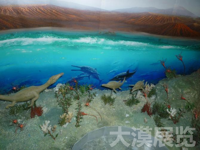 海洋生物館模型1